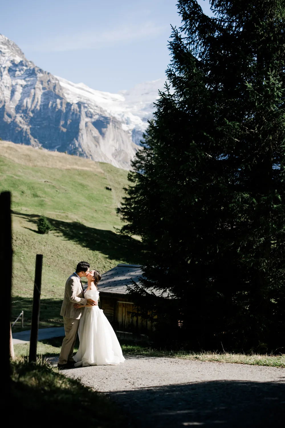 Cinematic portrait of a couple kissing under a pine tree during Alpenglow sunset in Grindelwald.